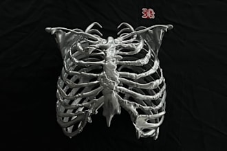 3d print amazing quality 3d models in resin