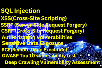 do advanced pentest on your website with report