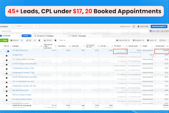 be your facebook ads campaign manager, meta ad expert, gohighlevel media buyer