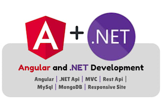 develop full stack web apps using angular and dotnet