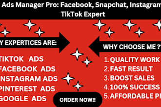 be your ads manager facebook snapchat instagram tiktok expert