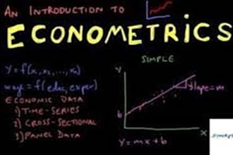 do essays on microeconomics, paper, macroeconomics and econometrics, assignments