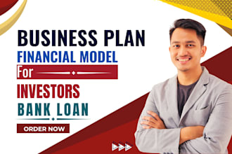 prepare an investor ready business plan and financial model for startups