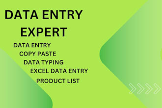 do data entry ,copy paste ,excel data entry ,data entry typing, and web research