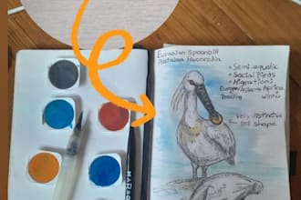 draw your bird photo into custom field art and id