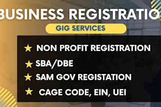 samgov, uei, ein number, cage code, US llc registration, non profit registration