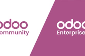 deploy, customize, and develop custom odoo modules for your business