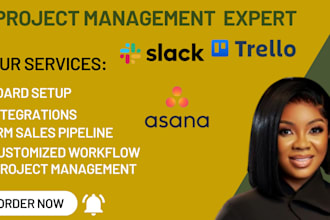 setup trello, asana, monday crm, clickup, dubsado, slack for project management