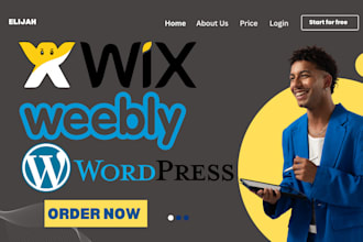 design a professional wix, weebly and wordpress business website