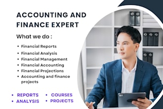 do accounting and finance assignments financial analysis reports excel project