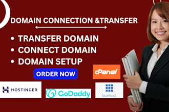 connect, transfer, redirect domain hostinger, godaddy, namecheap, shopify