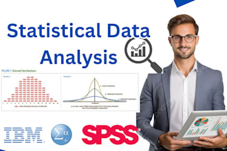 do statistical data analysis IBM spss, pyhton, r, report