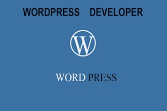 build,rebuild,redesign wordpress website design or elementor website