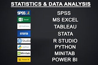 perform professional statistical data analysis