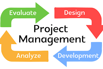 write economics, business and finance essays