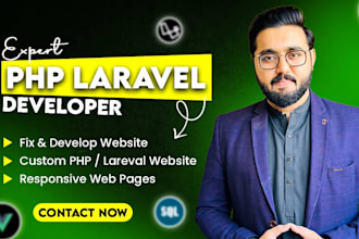 expert php laravel vue js front end developers for custom projects