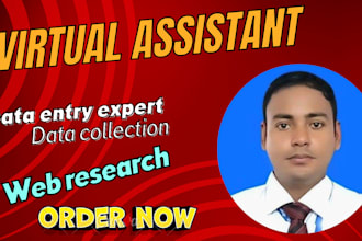 be data entry, data collection, copy paste and word press