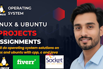 do operating system projects and c programming task
