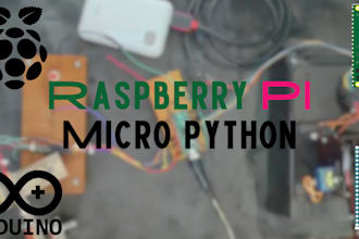 program and design arduino raspberry pi and esp 8266 projects