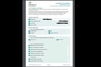 be UK accountant and file your sa100, ct600 and vat returns