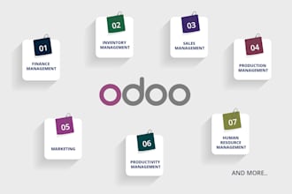 do enterprise level odoo implementation and customization