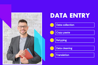do professional data entry retyping copy paste translation,