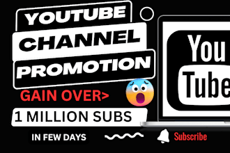 do youtube channel promotion to niche targeted audience