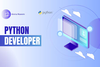 create custom python software, task