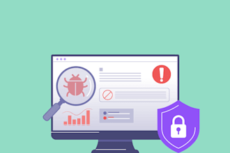 do website vulnerability assessment and penetration testing