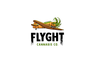 make airplane logo intro advertisement