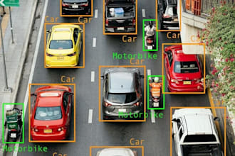 do your object detection and classification tasks