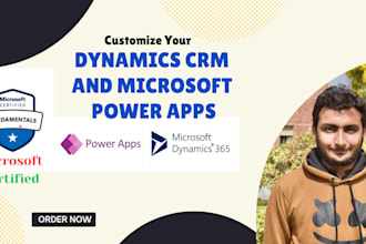 customize microsoft dynamics 365 CRM and power apps