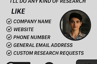 web research, data entry, b2b lead generation and company research