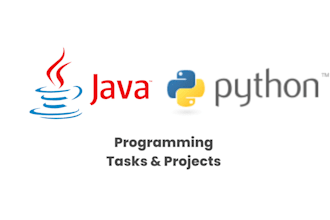 expert python java cpp sql gui programming task and project assistant