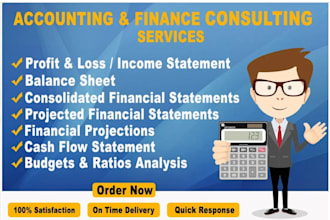 do financial statements and bookkeeping as per US gaap ifrs