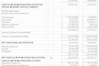do audit and financial management
