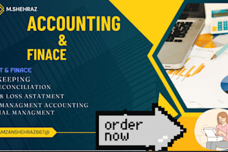 do accounting and finance tasks, financial management