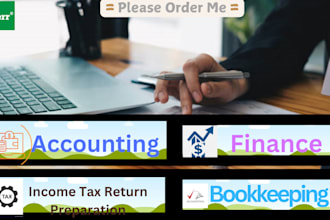 do  professional accounting, bookkeeping, finance,  tax consulting service
