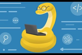 develop python projects and python web application