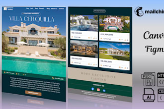 create a professional mailchimp email template newsletter design