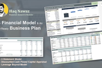 prepare financial model and an investor ready business plan