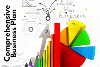 write an investor ready business plan for startups, loans, business plan writer
