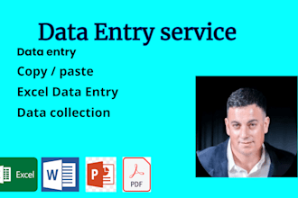 data entry, web research, PDF to word conversion, file conversion to excel