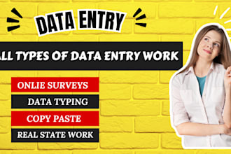 be your virtual assistant for data entry, data mining, copy paste, online survey