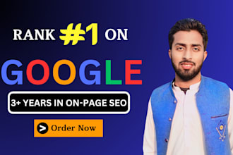 do onpage SEO and technical optimization of your wordpress website