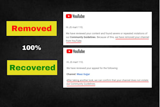 help you get back your removed youtube channel