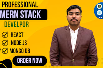 create mern stack website superfast as mern stack developer