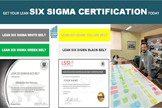 help in lean six sigma black and green belt