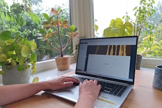 maintain and update your wordpress website