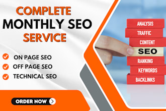 provide the best monthly SEO service with complete first page ranking strategy